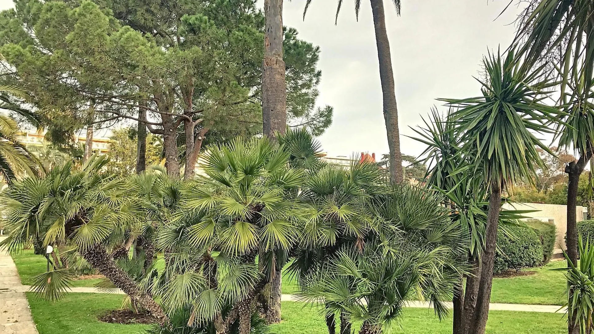 Apartment A Deux Pas Des Plages Piscine 346L Franchi Cannes